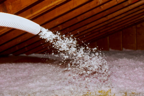 Best Insulation Materials and Products in Cheswold, DE